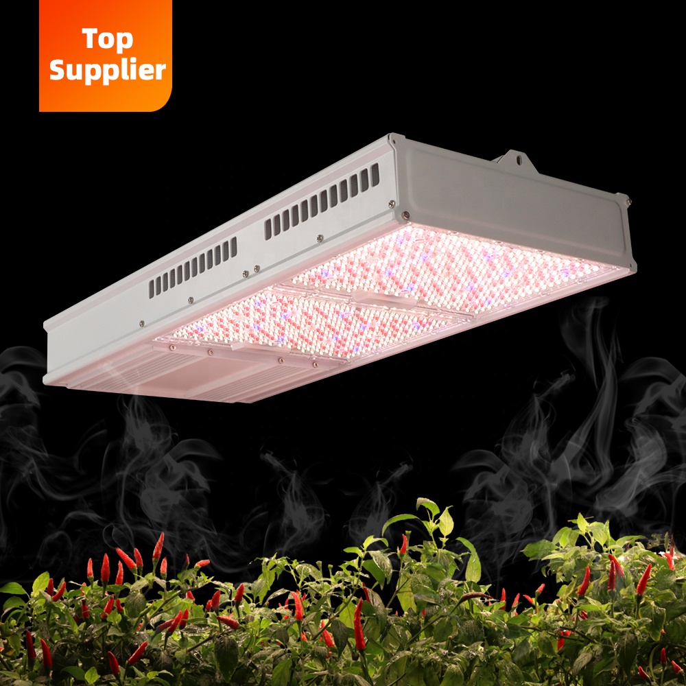 Plant Grow Light Full Spectrum - Kostengünstige 600W 800W Toplight Vollspektrum LED-Pflanzenlampe
