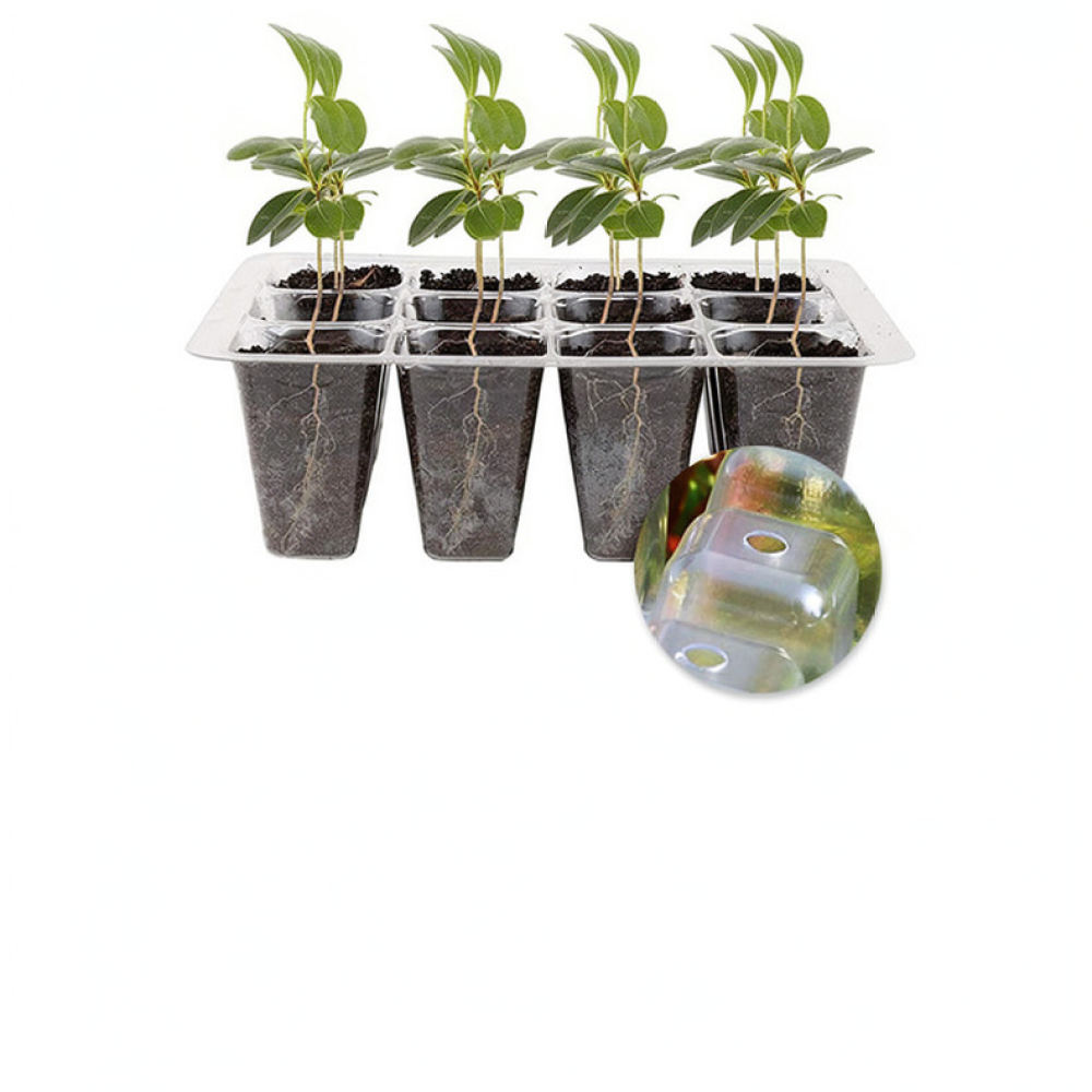 Indoor Garden Kit - Pflanzenwachstumslicht-Starter-Set, Hochkuppel-Gewächshaus, Anzuchtausrüstung für Indoor-Gartenbau und