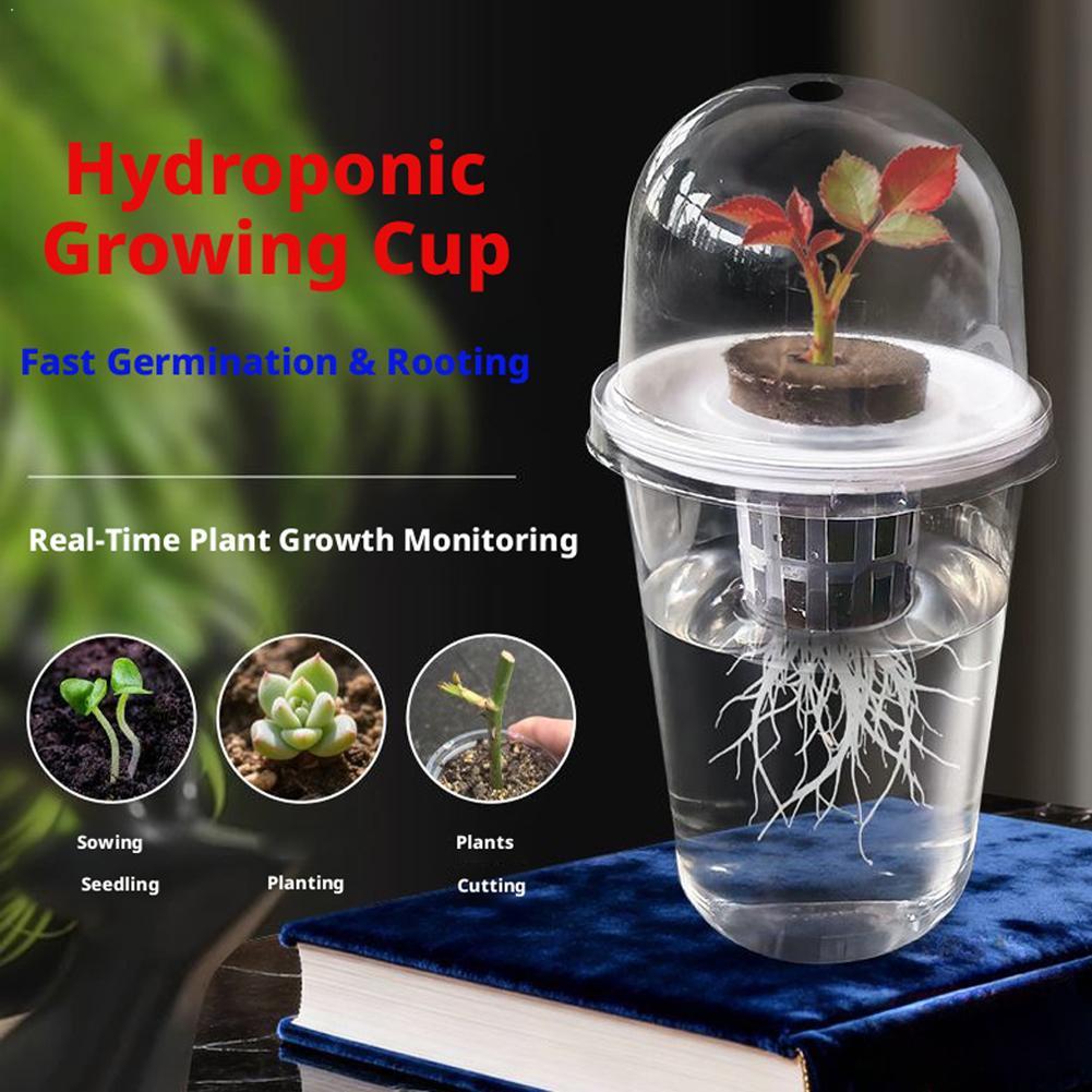 Pflanzbecher für Hydrokultur-G – Hydroponic Tower Bewertung und Preis