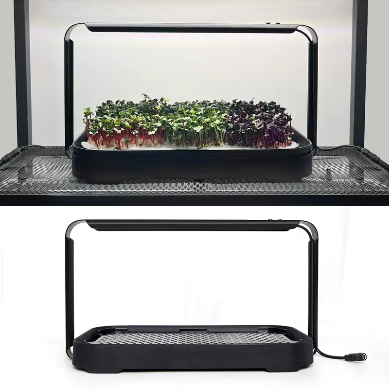 Microgreens Selbstbewässerndes – Self Watering Planter Bewertung und Preis