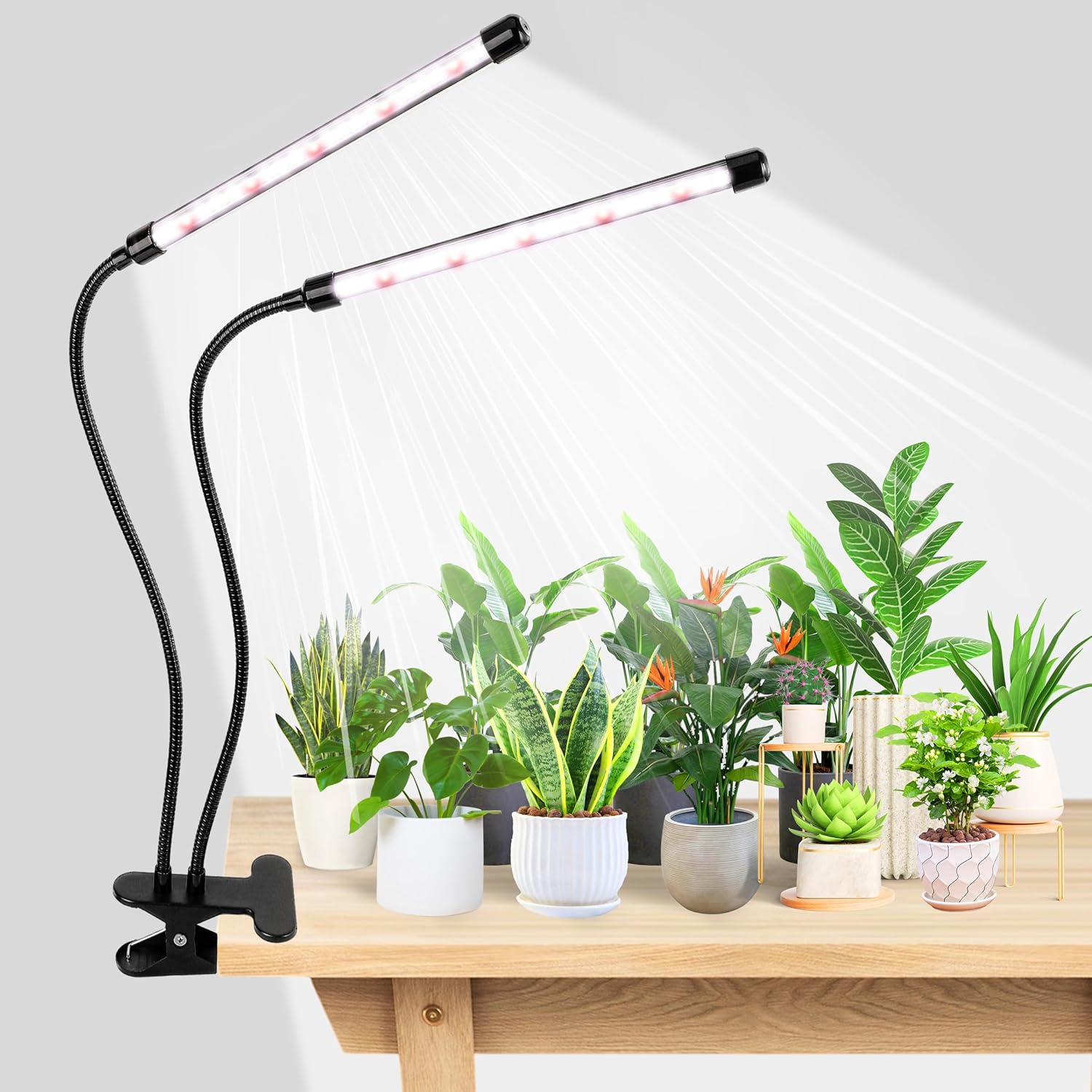 KEBINCPLED USB 5V Clip Pflanze – Hydroponic Grow Pod Bewertung und Preis