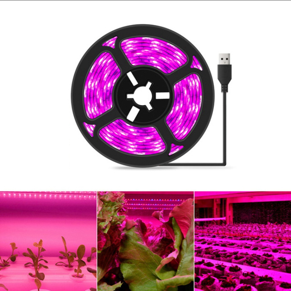 ABUH-5V 5 Meter Pflanzenwachst – Plant Grow Light Full Spectrum Bewertung und Preis