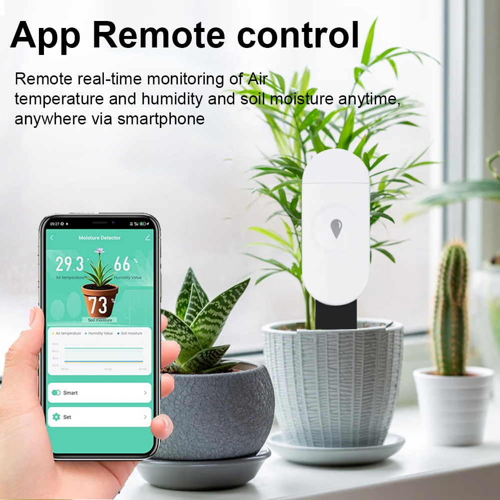 Tuya Zigbee Temperatur Feuchti – Garden Camera Bewertung und Preis
