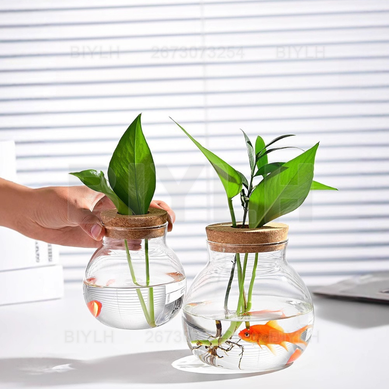 Hydrokultur-Pflanzen-Glasvase  – Hydroponic Grow Pod Bewertung und Preis