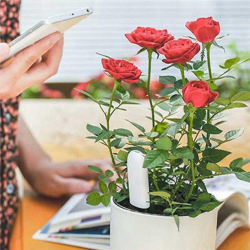ABVG-Flora Intelligenter Blume – Plant Sensor Bewertung und Preis
