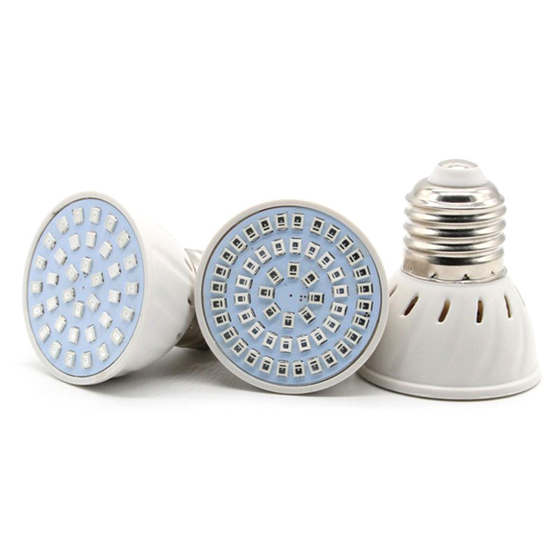 LED-Pflanzenwachstumslampe E27 – Plant Grow Light Full Spectrum Bewertung und Preis