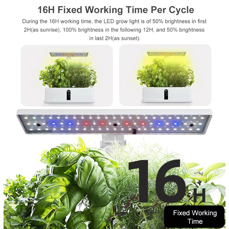 9-Pods Smart Hydroponisches An – Smart Garden System Bewertung und Preis