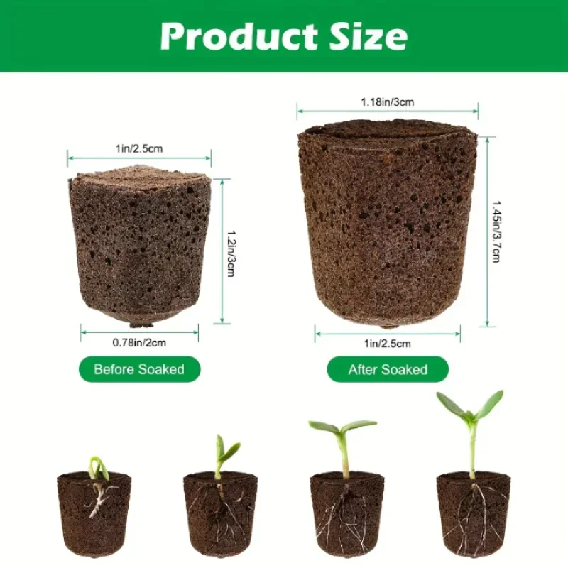 Setzling-Starter-Schwamm-Kit f – Indoor Garden Kit Bewertung und Preis