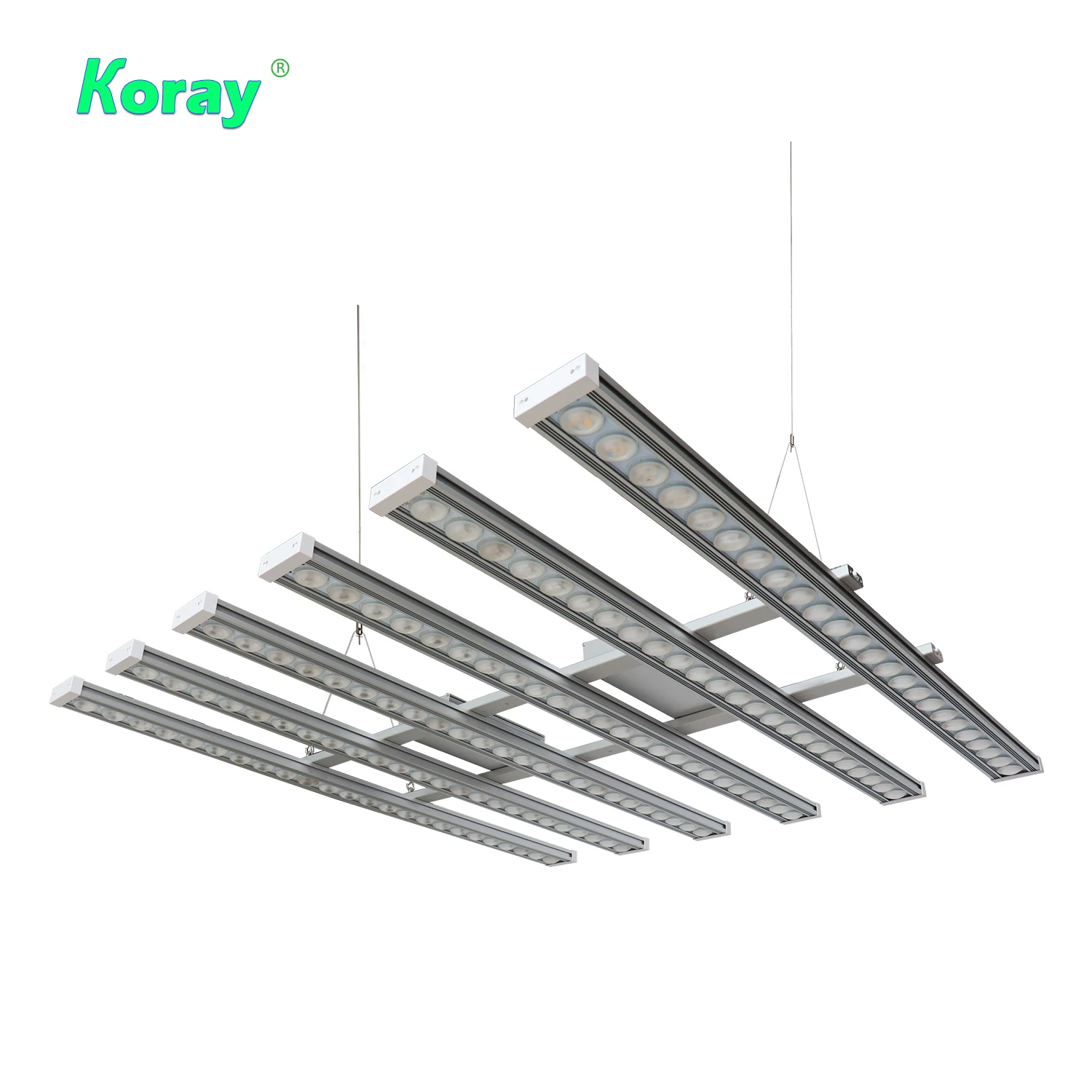 Koray 900W Indoor Vollspektrum – Plant Grow Light Full Spectrum Bewertung und Preis