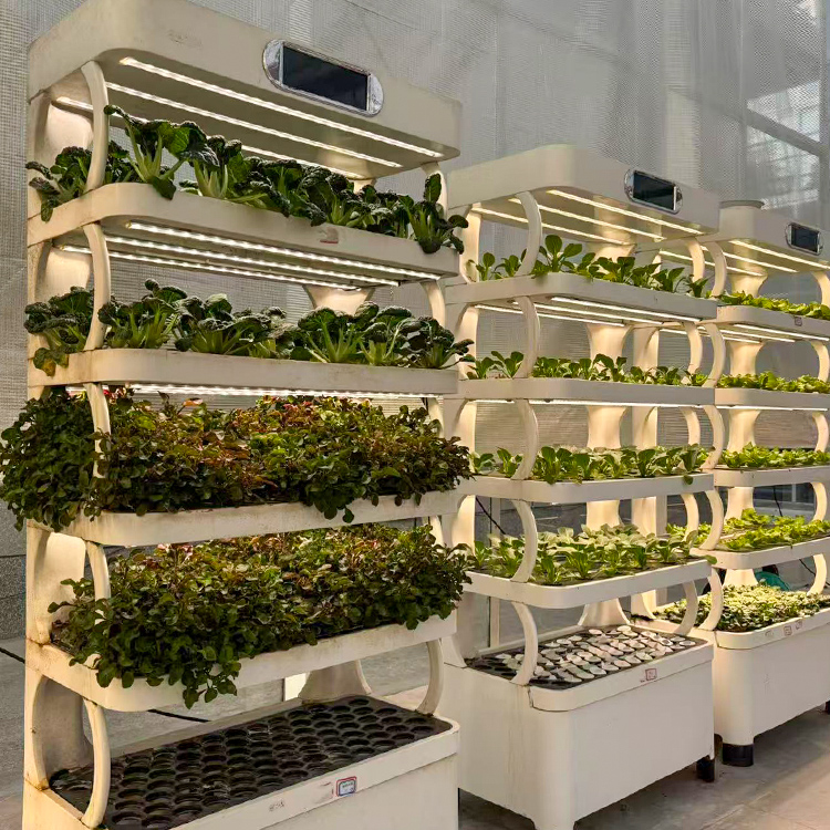 Intelligenter Indoor-Garten-Pf – Smart Garden System Bewertung und Preis