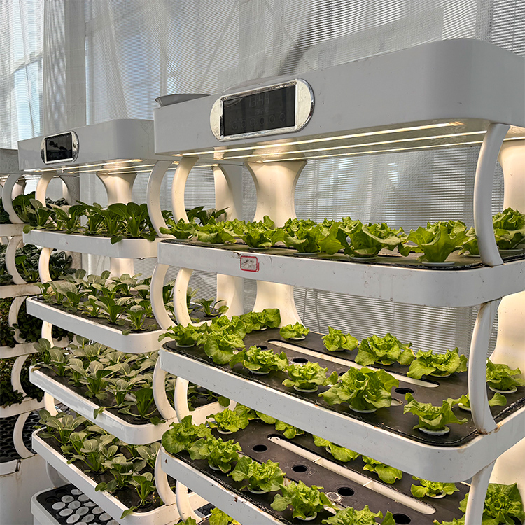 Intelligenter Indoor-Garten-Pf – Smart Garden System Bewertung und Preis