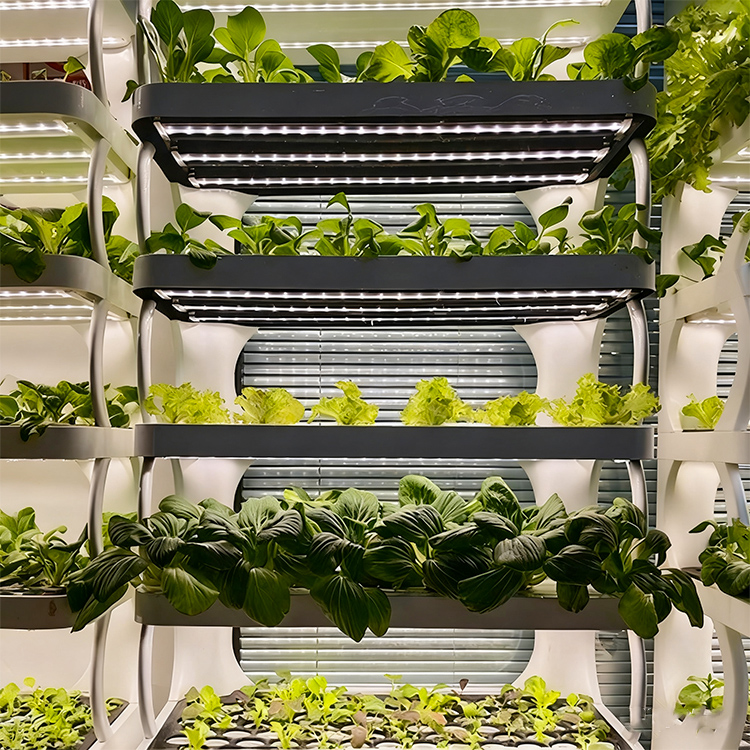 Intelligenter Indoor-Garten-Pf – Smart Garden System Bewertung und Preis